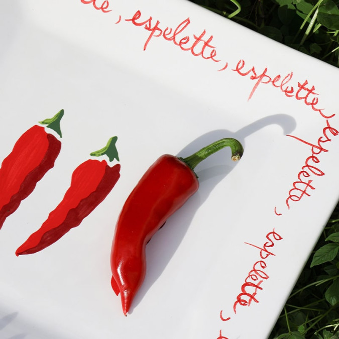 Plat Carre Piments Blanc en faïence